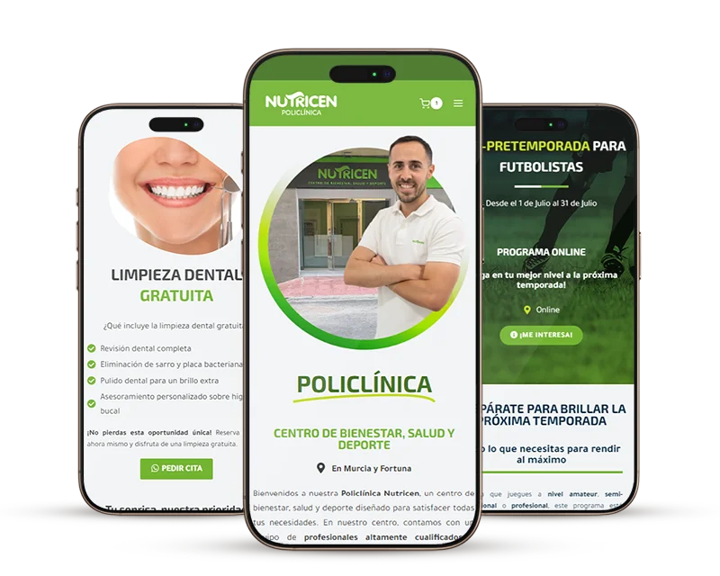 diseño web en murcia - wordpress